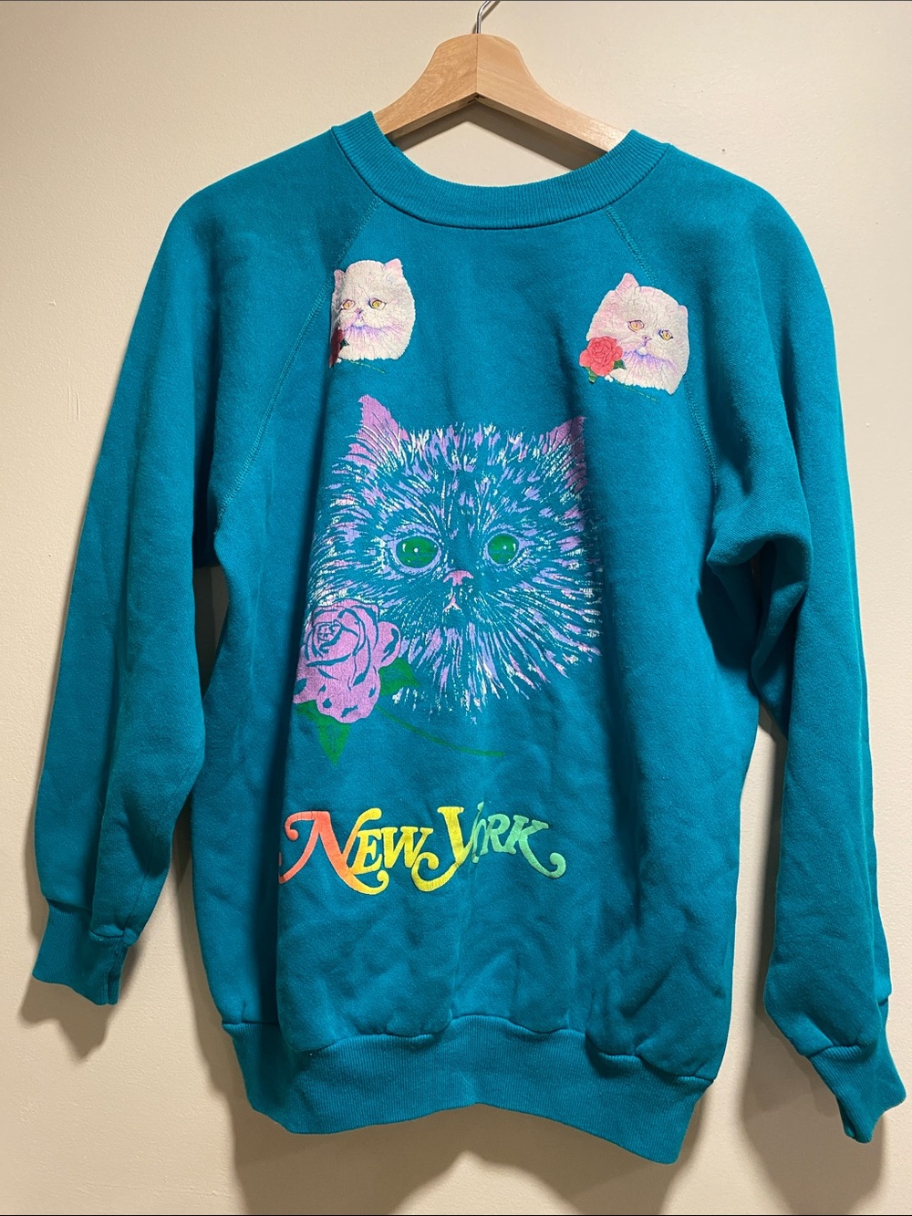 Vintage Hanes Women's Teal Crewneck Pullover with Cats New York